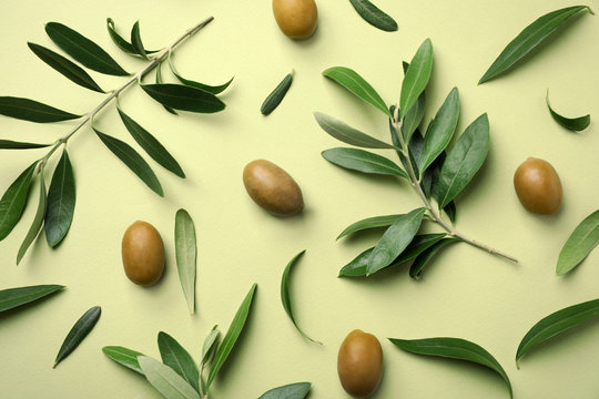 Flat Lay Composition With Fresh Green Olive Leaves, Twigs And Fruit On Color Background