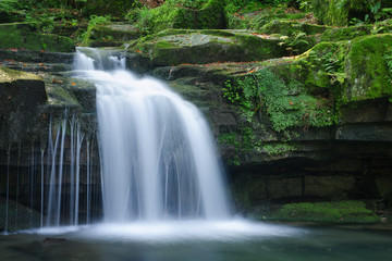 Fototapeta na wymiar Small waterfall in the forest