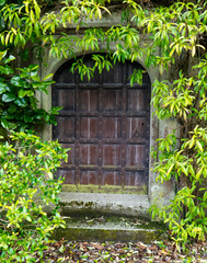Hidden old door