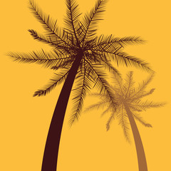 tropical palms tree yellow background