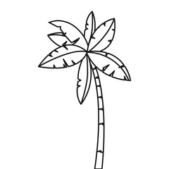 tropical palm  tree isolated design