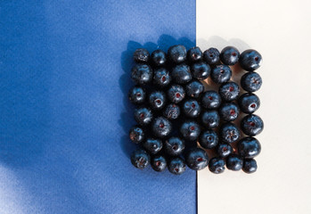 black berries on white and blue background