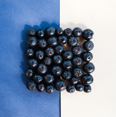 black berries on white and blue background