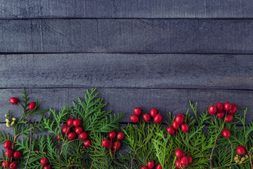 Holiday background with christmas branches