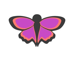 Vector illustration of purple butterfly. Isolated
