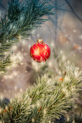 The branches of Christmas trees, toy