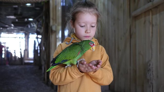 Little girl enjoy holds and feeds a green parrot on her hands