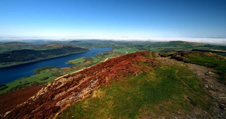 Purple heather on 'the edge'