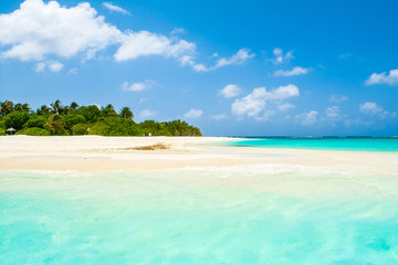 Fototapeta premium Beautiful sandy beach with sunbeds and umbrellas in Indian ocean, Maldives island
