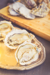 Raw fresh open oysters shells on plate close up, toned