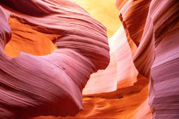 The Lady in the Wind