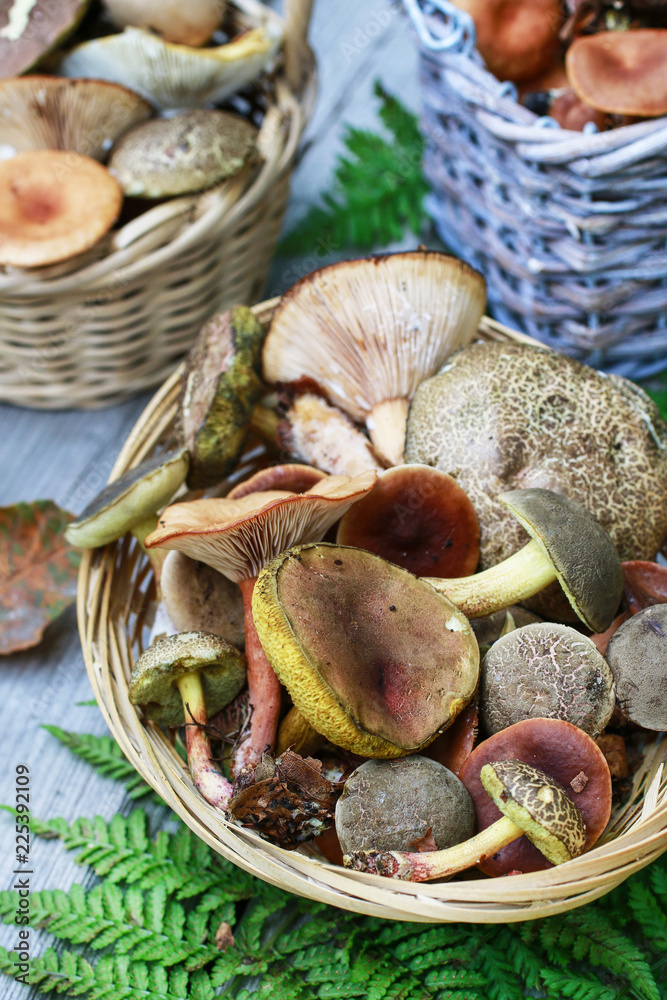 Sticker mushroom picking on the table