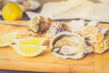 Raw oysters shells - one open and closed ones with lemons, toned