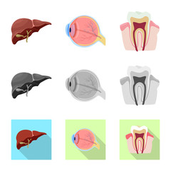 Vector design of body and human sign. Collection of body and medical vector icon for stock.