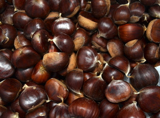 châtaigne marron