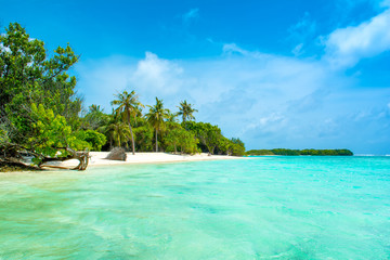 Beautiful sandy beach in uninhabited island