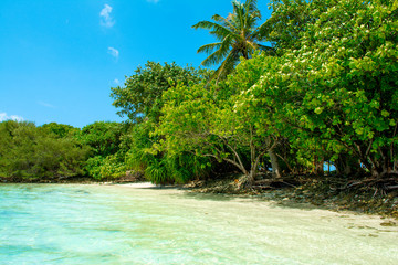 Beautiful sandy beach in uninhabited island
