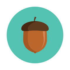 Acorn flat icon isolated on blue background. Simple acorn sign symbol in flat style. Autumn element Vector illustration for web and mobile design.