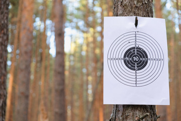 target for shooting outdoors