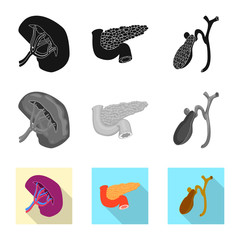 Isolated object of body and human logo. Set of body and medical stock vector illustration.