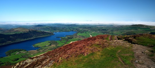 Purple heather on 'the edge'