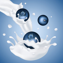 Blueberry falling in milk yogurt with splash. Realistic Vector blueberries smoothies illustration. eps10