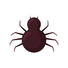happy halloween spider icon