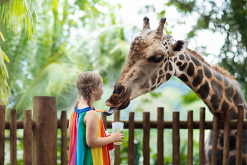 Kids feed giraffe at zoo. Children at safari park.