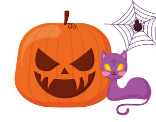 halloween pumpkin with cat and spider