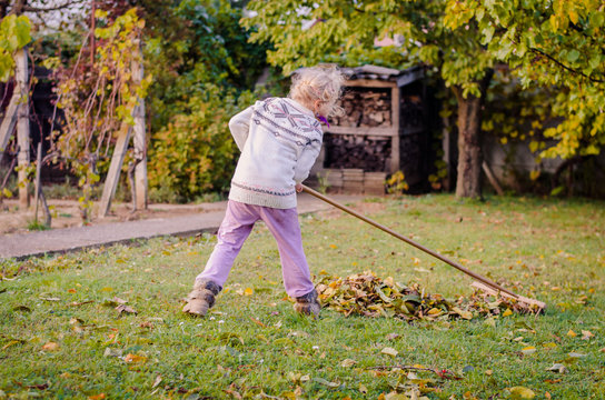 child raking fallen leaves