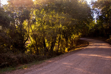 Hermoso Paisaje campestre