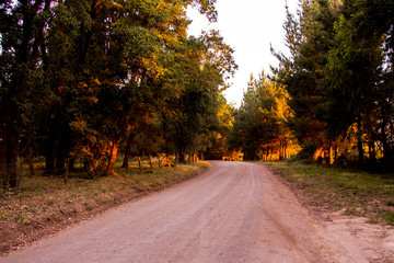Hermoso Paisaje campestre