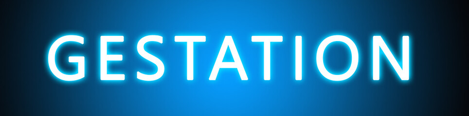 Gestation - glowing white text on blue background