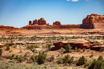 The desolate arid landscape of the Needles District in Canyonlands National Park is hauntingly beautiful