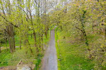 Hermoso Paisaje campestre