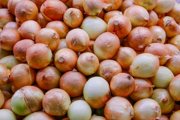 Texture and background of colorful  onions.