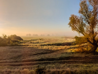 Fototapeta na wymiar Field during the morning in the autumn season