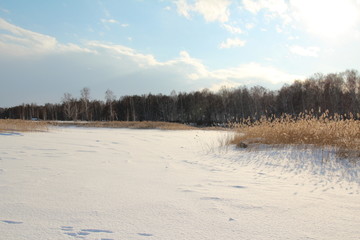 lake in winter