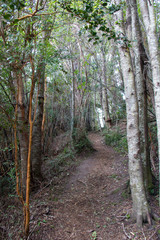 Hermoso Paisaje campestre