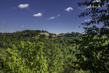 mountain top with rocky cliffs and forest under a blue sky with puffy clouds