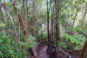 Hermoso Paisaje campestre