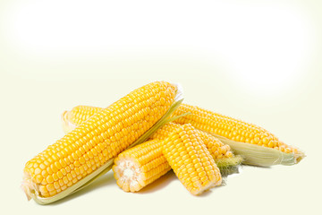 Fresh corn on cobs isolated on white
