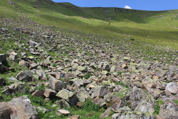 Scattered stones