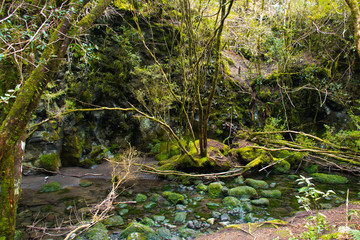 Hermoso Paisaje campestre