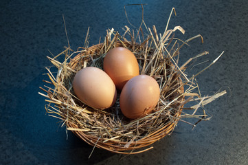 PANIER OEUF DE POULE