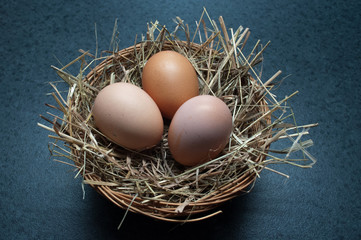 PANIER OEUF DE POULE