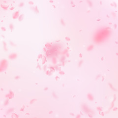 Fototapeta na wymiar Sakura petals falling down. Romantic pink flowers explosion. Flying petals on pink square background
