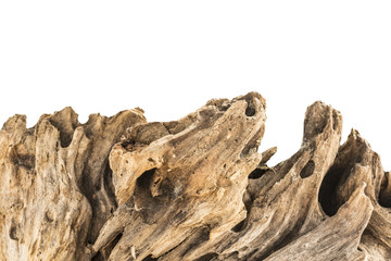 dry snag of a coniferous tree, old weathered relief wood isolated on a white background