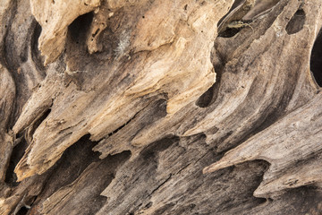 texture of old weathered wood, dry snag of a coniferous tree, close up art abstract background