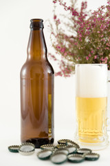 beer bottles with glass vase and plant on white background